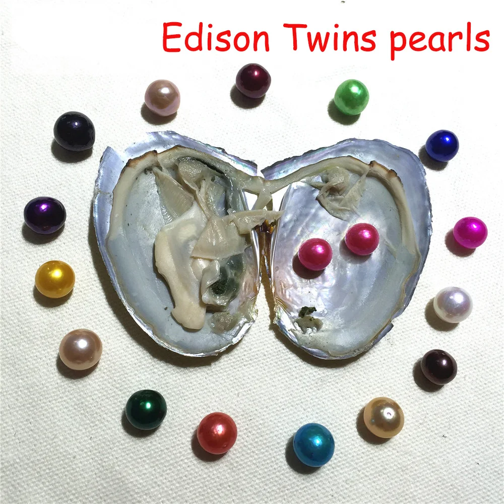 2019 DIY Jewelry Twins AAA 9-12mm colored Near Round Edison Pearl Oysters with Vacuum-packed Natural Cultured Pearl FP026
2019 DIY Jewelry Twins AAA 9-12mm colored Near Round Edison Pearl Oysters with Vacuum-packed Natural Cultured Pearl FP026
