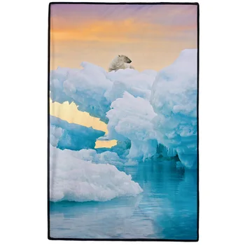 3D Printed Pet Blanket S/M/L Soft Cushion Pattern Arctic glaciers Big Dog Cat Blanket
3D Printed Pet Blanket S/M/L Soft Cushion Pattern Arctic glaciers Big Dog Cat Blanket