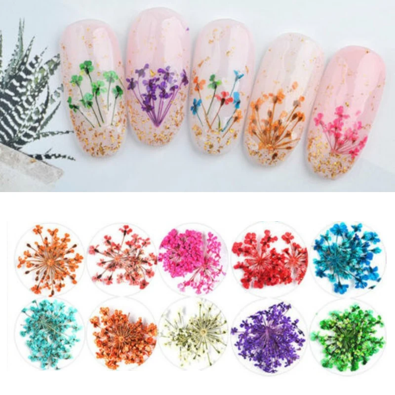 Natural Dry Flower Nail Art Charms Dried Real Flora Wraps Leaves Multi Color Nail Polish Nail Decorations
Natural Dry Flower Nail Art Charms Dried Real Flora Wraps Leaves Multi Color Nail Polish Nail Decorations