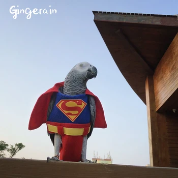 Gingerain Bird clothes Parrot diaper superman original hand-made custom bird clothes superman
Gingerain Bird clothes Parrot diaper superman original hand-made custom bird clothes superman