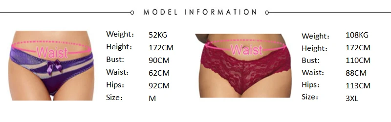 model information