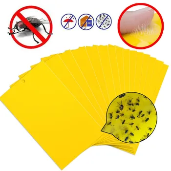 20Pcs Double-sided Yellow Strong Flies Traps Bugs Sticky Insect Board for Protecting Crop Plant Pest Controller Non-toxic
20Pcs Double-sided Yellow Strong Flies Traps Bugs Sticky Insect Board for Protecting Crop Plant Pest Controller Non-toxic