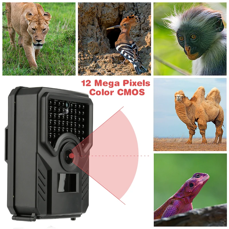 PR-200-B Hunting Camera 16MP 32GB Trail Camera IP65 Photo Traps 0.8s 110 Degree PIR Sensor Infrared HD Night Vision Wild Camera
PR-200-B Hunting Camera 16MP 32GB Trail Camera IP65 Photo Traps 0.8s 110 Degree PIR Sensor Infrared HD Night Vision Wild Camera