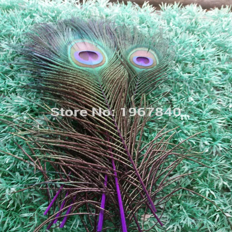Wholesale 10 pcs /lot purple peacock feather 25-30cm / 10-12 inch DIY stage/ceremony/wedding/home vase decoration
Wholesale 10 pcs /lot purple peacock feather 25-30cm / 10-12 inch DIY stage/ceremony/wedding/home vase decoration