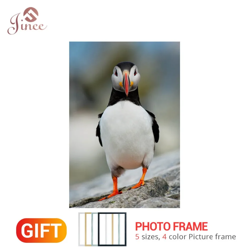 Diamond Embroidery Sea Bird 5D Diamond Painting Cross Stitch Animal Puffin Picture Rhinestones Home Decor Handmade Framed Gift
Diamond Embroidery Sea Bird 5D Diamond Painting Cross Stitch Animal Puffin Picture Rhinestones Home Decor Handmade Framed Gift