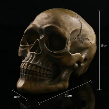 man skull model Halloween scene costumes, props, resin skull models office setting crafts statue home decoration
man skull model Halloween scene costumes, props, resin skull models office setting crafts statue home decoration