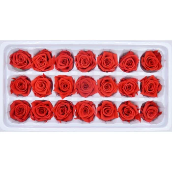 valentine's day gifts wholesale Upscale decorations diy 2-3cm Preserved flowers 21pcs/lot A variety of colors can be selected
valentine's day gifts wholesale Upscale decorations diy 2-3cm Preserved flowers 21pcs/lot A variety of colors can be selected