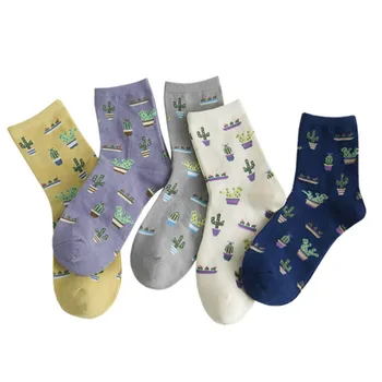 Cactus Print Coton Woman Socks Harajuku Vintage Streetwear Crew Sock College Style Japanese Kawaii Cute Sock for Christmas Gifts
Cactus Print Coton Woman Socks Harajuku Vintage Streetwear Crew Sock College Style Japanese Kawaii Cute Sock for Christmas Gifts