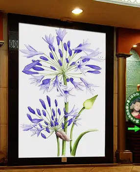 3d wallpaper custom mural non-woven 3d room wallpaper Still life setting wall flowers porch painting photo wallpaper for wall 3d
3d wallpaper custom mural non-woven 3d room wallpaper Still life setting wall flowers porch painting photo wallpaper for wall 3d