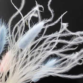 20PCS Dried Natural Flower Bouquets 15g Eternal Flowers DIY Thin White Feather Grass Wedding Decoration Flower DIY
20PCS Dried Natural Flower Bouquets 15g Eternal Flowers DIY Thin White Feather Grass Wedding Decoration Flower DIY
