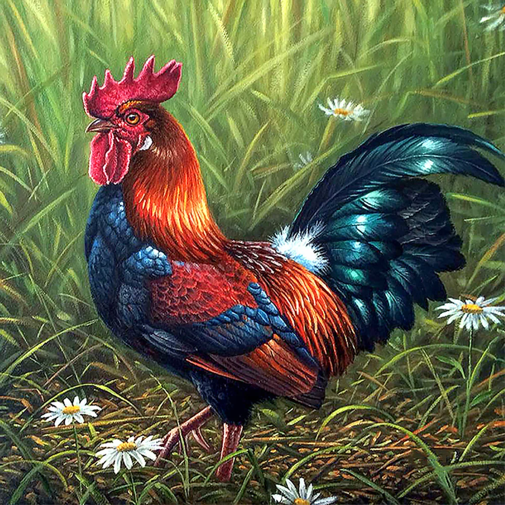Diamond Painting A rooster in the field full drill Mosaic DIY Diamond Painting Cross Stitch Embroidery Home Decorative Craft
Diamond Painting A rooster in the field full drill Mosaic DIY Diamond Painting Cross Stitch Embroidery Home Decorative Craft