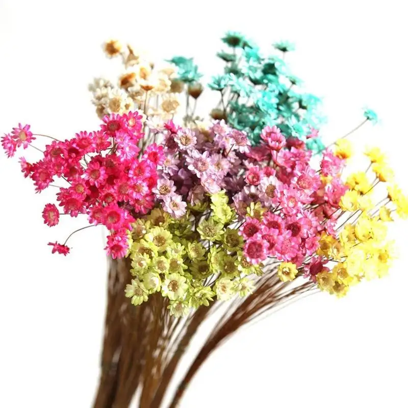 30pcs/lot Natural Brazil Daisy Dried Flower Vial Glass Bottle Decorative Filler Materials Home Decoration Accessories WED2532
30pcs/lot Natural Brazil Daisy Dried Flower Vial Glass Bottle Decorative Filler Materials Home Decoration Accessories WED2532