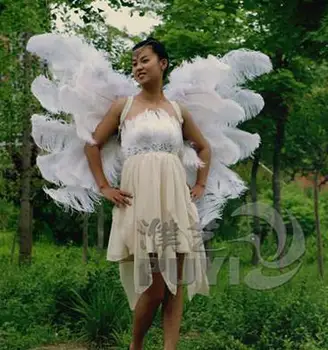 V model catwalk stage performance show wing props fashion popular high quality delicate ostrich feather angel wing
V model catwalk stage performance show wing props fashion popular high quality delicate ostrich feather angel wing