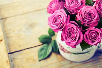 Custom Roses Closeup Vase Flowers wallpaper 3d wall mural,dining room sofa TV wall bedroom modern wallpaper wall coverings
Custom Roses Closeup Vase Flowers wallpaper 3d wall mural,dining room sofa TV wall bedroom modern wallpaper wall coverings