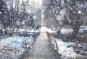VinylBDS Thick Snow Winter Photography Backdrops Sun Fond Photographie Cedar Wooden Bridge Kate Background Backdrop
VinylBDS Thick Snow Winter Photography Backdrops Sun Fond Photographie Cedar Wooden Bridge Kate Background Backdrop