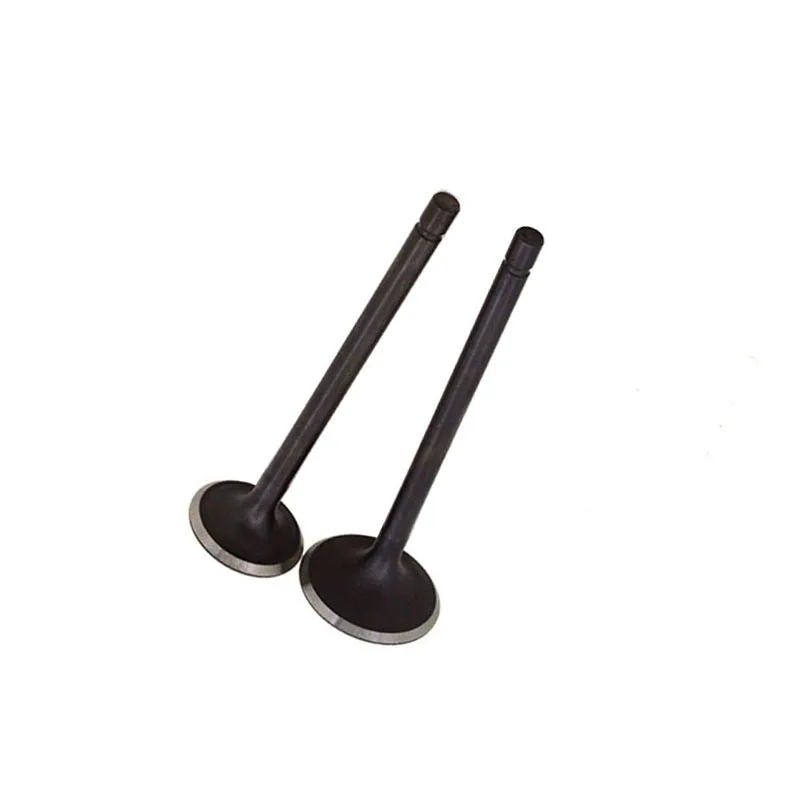 2pcs Motorcycle Engine Valve Intake Exhaust Stem Valve for Honda CBT125 CBT150 CM125 high quality
2pcs Motorcycle Engine Valve Intake Exhaust Stem Valve for Honda CBT125 CBT150 CM125 high quality