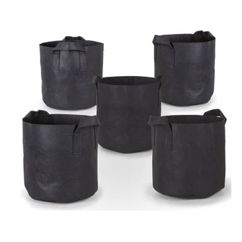 Non Woven Tree Fabric Pots 5 pcs/lot Grow Bag Root Container Plant Pouch black hand with planting flowers nonwoven bags
Non Woven Tree Fabric Pots 5 pcs/lot Grow Bag Root Container Plant Pouch black hand with planting flowers nonwoven bags