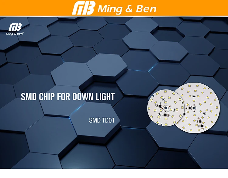 LED Down Light_TD-01 Chip_01