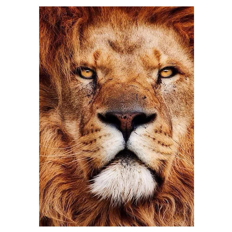5D DIY diamond painting animal lion combination full round diamond painting cross stitch diamond embroidery home decoration
5D DIY diamond painting animal lion combination full round diamond painting cross stitch diamond embroidery home decoration