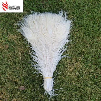 50PCS wholesale 10-12 polegadas married beautiful white peacock feathers reception center party feather decoration
50PCS wholesale 10-12 polegadas married beautiful white peacock feathers reception center party feather decoration