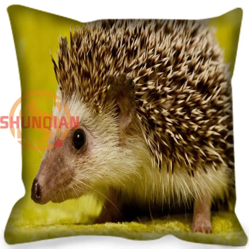 New Custom Pillow Case Hedgehog Square Pillowcase zipper Two sides 35x35cm 40x40cm 45x45cm 60x60cm Custom your image
New Custom Pillow Case Hedgehog Square Pillowcase zipper Two sides 35x35cm 40x40cm 45x45cm 60x60cm Custom your image