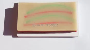 Injection Trainning Human Intravenous Practicing Subcutaneous Skin Nursing Model Injection model medical supplies teaching
Injection Trainning Human Intravenous Practicing Subcutaneous Skin Nursing Model Injection model medical supplies teaching