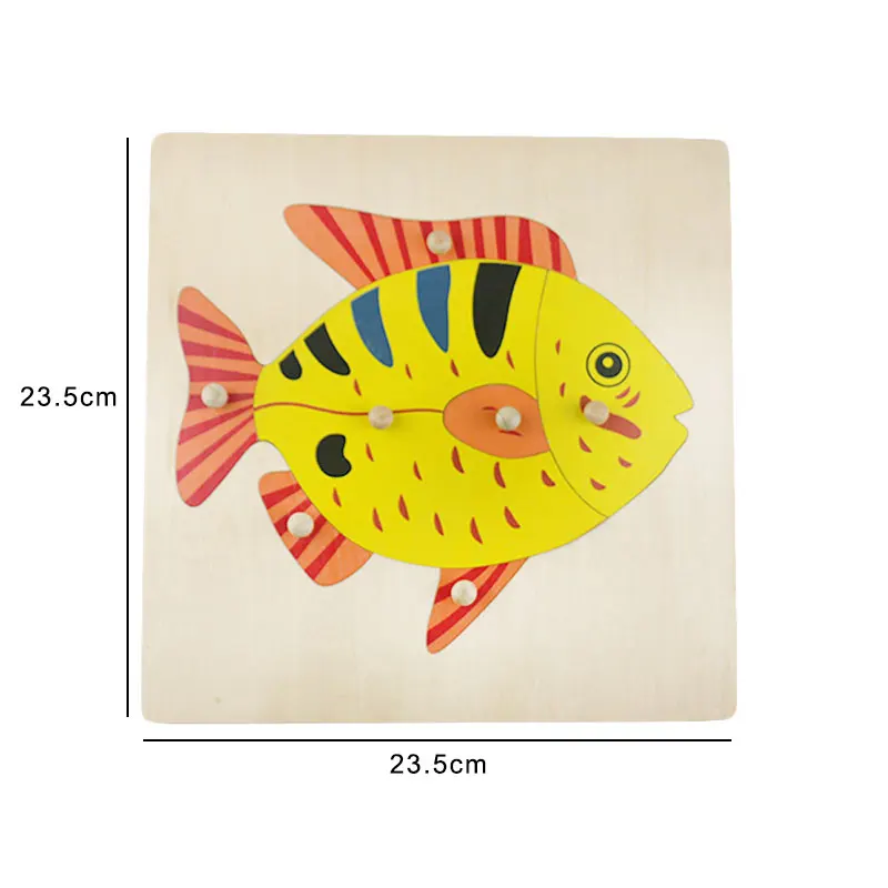 size