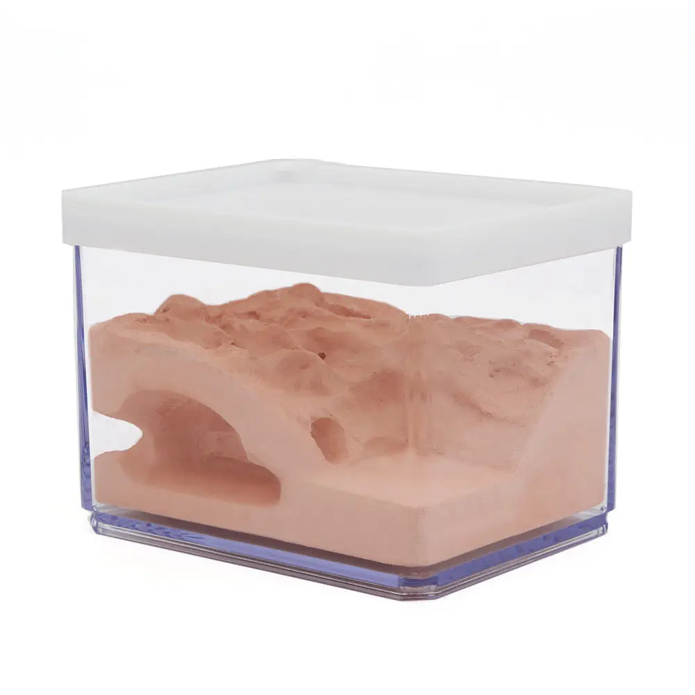 For Small Ant Colony Ant Nest Housing Farm Box Gypsum Kernel Farm Case PC Case Housing Funny Ant Box Display Hot Sale
For Small Ant Colony Ant Nest Housing Farm Box Gypsum Kernel Farm Case PC Case Housing Funny Ant Box Display Hot Sale