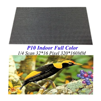 Indoor LED Module Full Color RGB P10 LED Display 32*16 Pixel 1/4 Scan SMD Video LED Display Signs
Indoor LED Module Full Color RGB P10 LED Display 32*16 Pixel 1/4 Scan SMD Video LED Display Signs