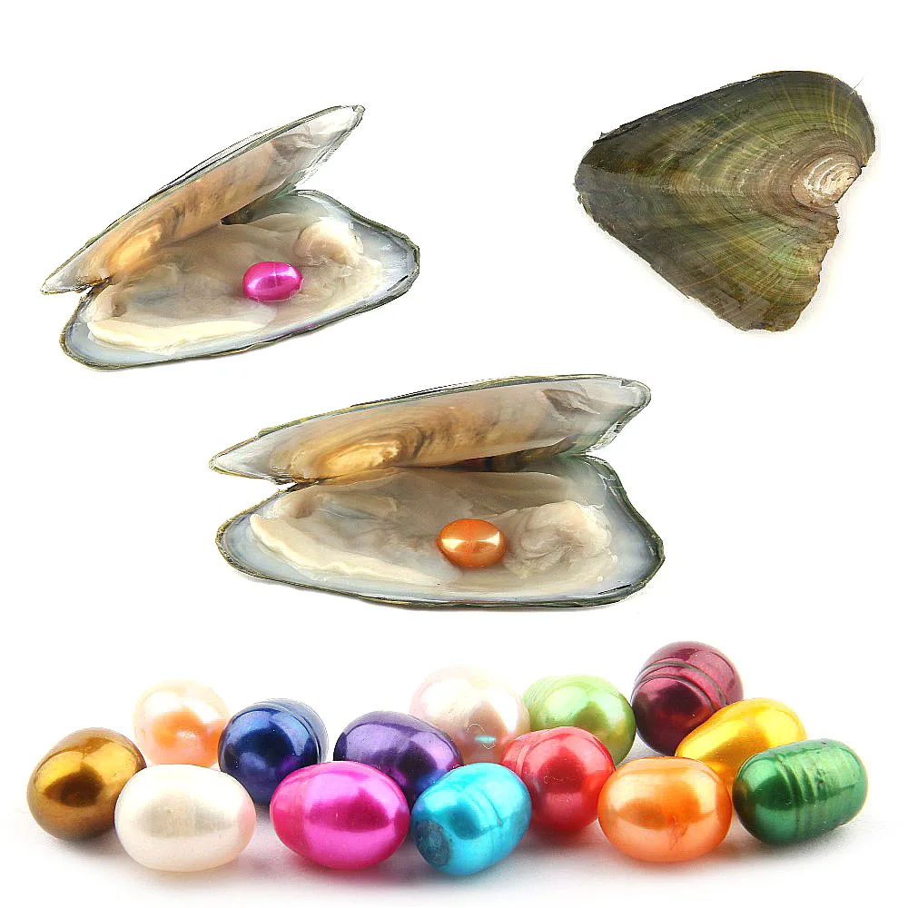 Natural Pearl Freshwater Cultured Pearl Oyster with 7-8 mm Oval 14 Color Pearl DIY Birthday Gifts Vacuum-Packed
Natural Pearl Freshwater Cultured Pearl Oyster with 7-8 mm Oval 14 Color Pearl DIY Birthday Gifts Vacuum-Packed