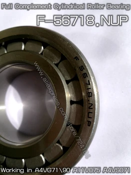 Full Complement Cylindrical Roller Bearing F-56718 .NUP 40*80*23mm For Main Shaft Of Hydraulic pump Printing press machine ABEC5
Full Complement Cylindrical Roller Bearing F-56718 .NUP 40*80*23mm For Main Shaft Of Hydraulic pump Printing press machine ABEC5