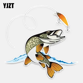 YJZT 15CM*15CM Interesting Animal Fish Car Styling Car Sticker PVC Decal Decoration 5-0210 
YJZT 15CM*15CM Interesting Animal Fish Car Styling Car Sticker PVC Decal Decoration 5-0210