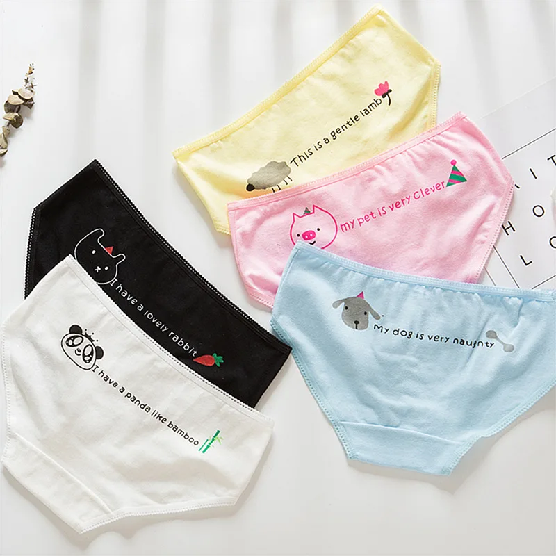 TWTZQ New Animal 2018 Summer Panda Sheep Pig Dog Lingerie Ultra-Thin Underwear Women Panties Sexy Female Seamless Briefs A3NK010
TWTZQ New Animal 2018 Summer Panda Sheep Pig Dog Lingerie Ultra-Thin Underwear Women Panties Sexy Female Seamless Briefs A3NK010