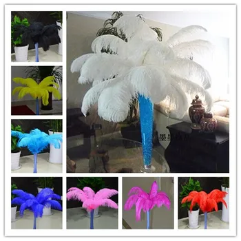Best for wedding 10PCS 16-18 Inch 40-45 cm Ostrich Feather Multi Choice Decoration Choice
Best for wedding 10PCS 16-18 Inch 40-45 cm Ostrich Feather Multi Choice Decoration Choice