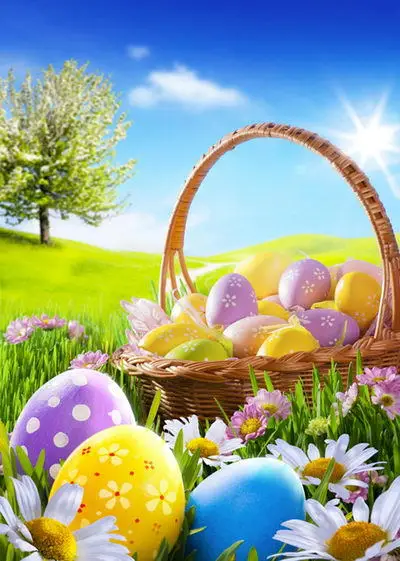 5X7ft Customize vinyl photography backdrop newborn easter wood computer print background for photo studio F-012
5X7ft Customize vinyl photography backdrop newborn easter wood computer print background for photo studio F-012