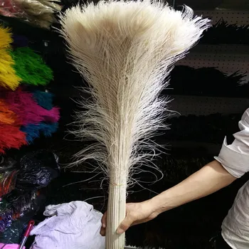 Beautiful 50 PCS 28-32inch/70-80cm high-quality beige peacock feathers DIY decoration holiday party
Beautiful 50 PCS 28-32inch/70-80cm high-quality beige peacock feathers DIY decoration holiday party