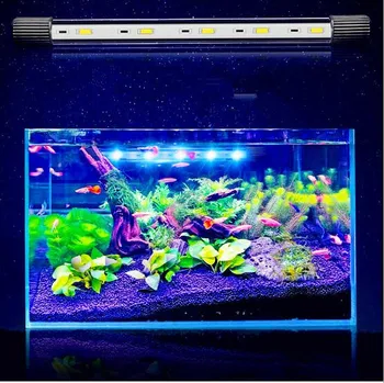 Coral lights dive light aquarium dive light amphibious Aqua LED Dragon Fish Diving lights highlight a parrot
Coral lights dive light aquarium dive light amphibious Aqua LED Dragon Fish Diving lights highlight a parrot