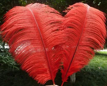 Sell high quality 50pcs / lot red ostrich feather 16-18 "/ 40-45cm, DIY jewelry accessories /Wedding decoration
Sell high quality 50pcs / lot red ostrich feather 16-18 "/ 40-45cm, DIY jewelry accessories /Wedding decoration