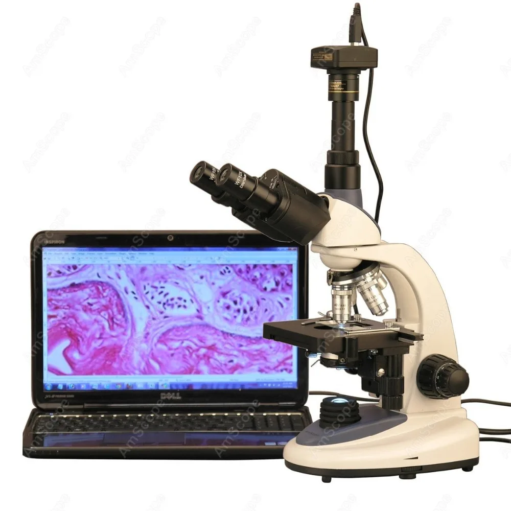 Тринокулярный составной Микроскоп -- AmScope поставки 40X-2500X 3 Вт светодиодный Тринокулярный составной Микроскоп с цифровой камерой 8MP
Тринокулярный составной Микроскоп -- AmScope поставки 40X-2500X 3 Вт светодиодный Тринокулярный составной Микроскоп с цифровой камерой 8MP