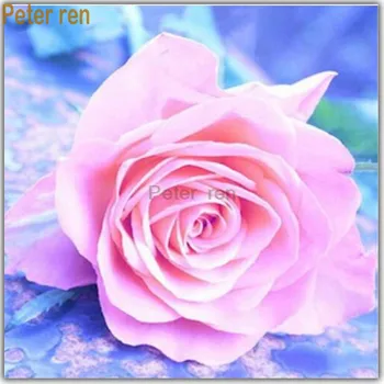 Peter ren Diy Diamond painting cross stitch 5d Full round crystal Rhinestone Mosaic Diamond embroidery Modern Pink flower rose
Peter ren Diy Diamond painting cross stitch 5d Full round crystal Rhinestone Mosaic Diamond embroidery Modern Pink flower rose