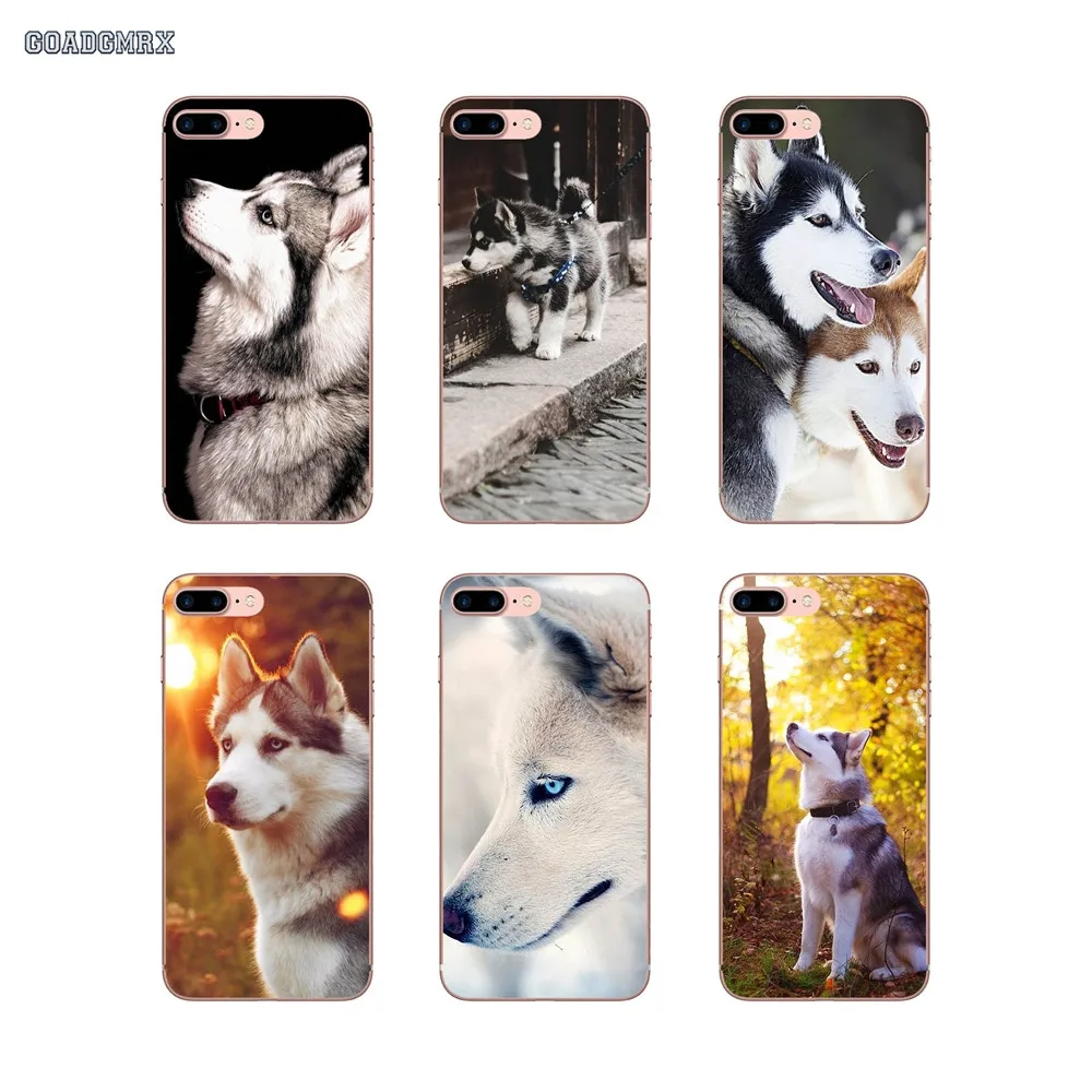 Прозрачные мягкие чехлы Pretty Siberian Husky Dogs для Samsung Galaxy S10 Lite J1 J2 J3 J5 J7 2015 2016 J4 J6 Plus J8 2018