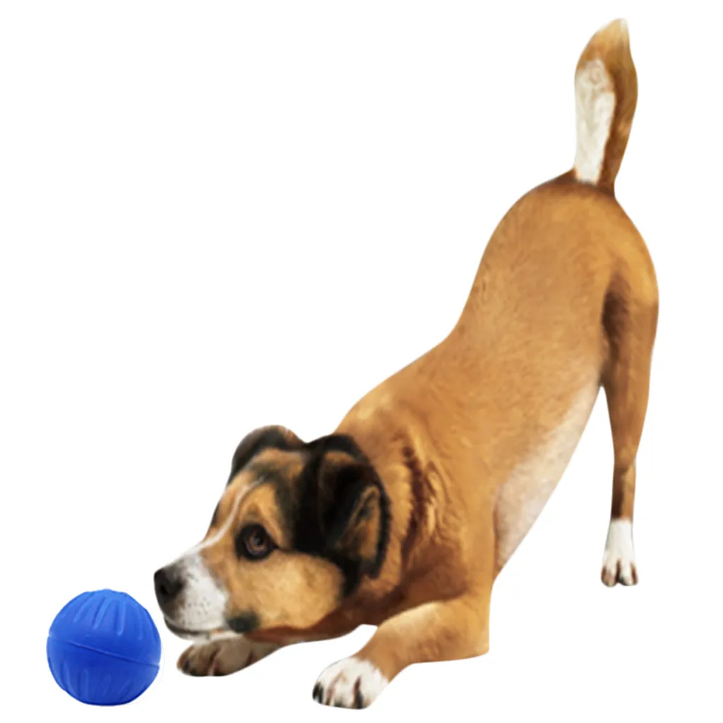Interactive Bite Soft Dog Chew Toys Foam Ball Molar Dog Toy Ball Pet Dog Toy Training Chew Play Fetch Bite Toy Training Products
Interactive Bite Soft Dog Chew Toys Foam Ball Molar Dog Toy Ball Pet Dog Toy Training Chew Play Fetch Bite Toy Training Products