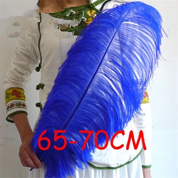5pcs royal blue color 26-28inch/65-70cm fluffy ostrich feathers plume wedding supplies wedding centerpieces
5pcs royal blue color 26-28inch/65-70cm fluffy ostrich feathers plume wedding supplies wedding centerpieces