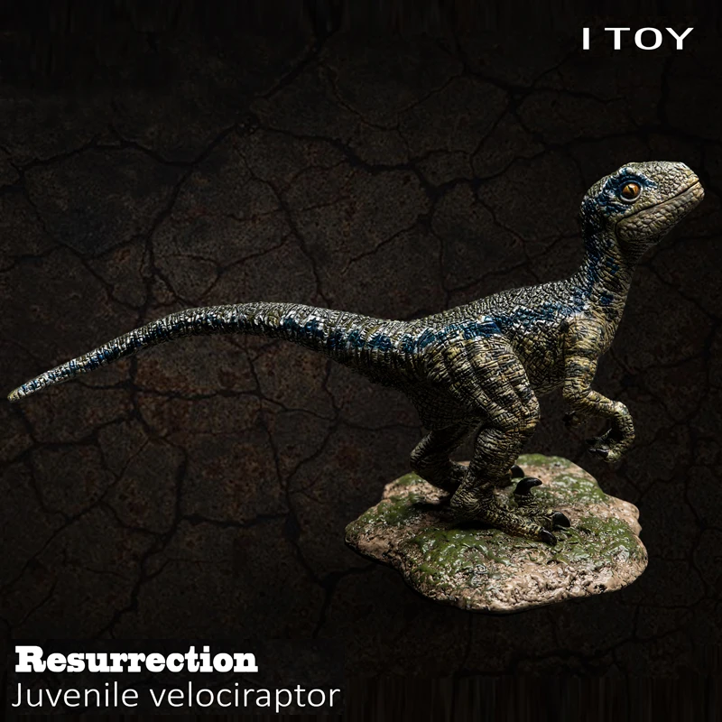 ITOY 1/35 Dinosaur Model Raptor Dragon Baby Garage Kit Statue for Fans Holiday Gift
ITOY 1/35 Dinosaur Model Raptor Dragon Baby Garage Kit Statue for Fans Holiday Gift