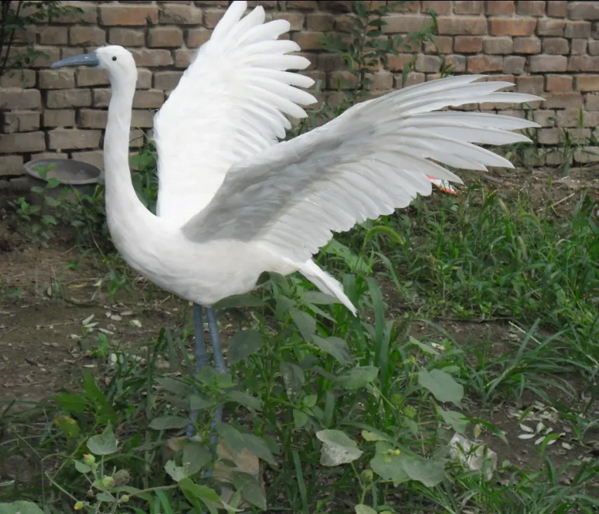 Белые перья Egret птица МОДЕЛЬ пены и перья расширительные крылья Egret Большой 60x100 см ручная работа, украшение для дома и сада подарок a2667
Белые перья Egret птица МОДЕЛЬ пены и перья расширительные крылья Egret Большой 60x100 см ручная работа, украшение для дома и сада подарок a2667