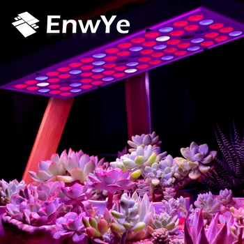 EnwYe Plant growth lamp 25W 45W 85-265V LED Grow light 50W 100W 220V Full Spectrum for Indoor Greenhouse grow tent
EnwYe Plant growth lamp 25W 45W 85-265V LED Grow light 50W 100W 220V Full Spectrum for Indoor Greenhouse grow tent
