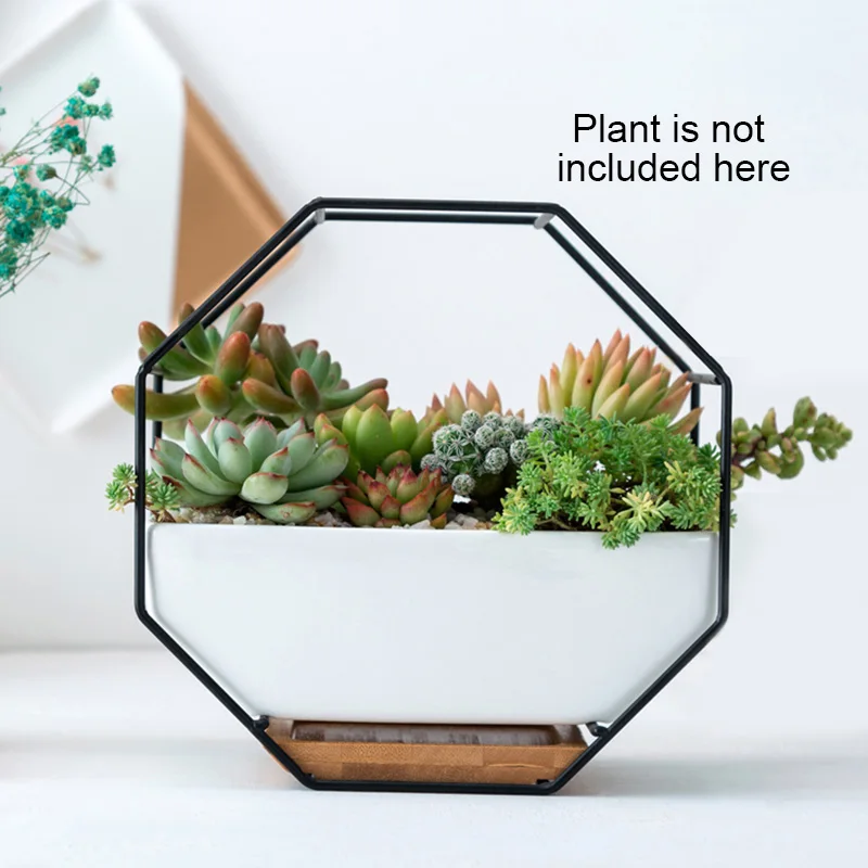 Geometric Metal Iron Rack White Ceramic Planter Pot Octagonal Wall Hanging for Succulents Flower Pot Bamboo Tray Iron Frame
Geometric Metal Iron Rack White Ceramic Planter Pot Octagonal Wall Hanging for Succulents Flower Pot Bamboo Tray Iron Frame