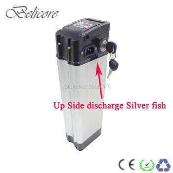 EU US no tax ebike battery 36V 10.4ah 11.6ah 12ah 14.5ah 15ah 16ah 17.5Ah top discharge silver fish electric bicycle battery
EU US no tax ebike battery 36V 10.4ah 11.6ah 12ah 14.5ah 15ah 16ah 17.5Ah top discharge silver fish electric bicycle battery