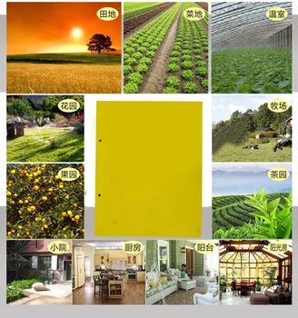 10Pcs Fly Trap Sticky Board for Moths Mosquitoes Flying Insect Flies Termites Bugs Control Out Door Use Waterproof Non-toxic
10Pcs Fly Trap Sticky Board for Moths Mosquitoes Flying Insect Flies Termites Bugs Control Out Door Use Waterproof Non-toxic