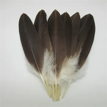 Wholesale 10 pcs Real Natural eagle feathers 25-30cm Top Quality pheasant feather For Wedding decoration diy jewelry Plume
Wholesale 10 pcs Real Natural eagle feathers 25-30cm Top Quality pheasant feather For Wedding decoration diy jewelry Plume